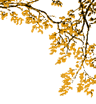 Plants.Branche.Branch.plante.Coin.corner.Yellow.autumn.automne.Victoriabea - Безплатен анимиран GIF