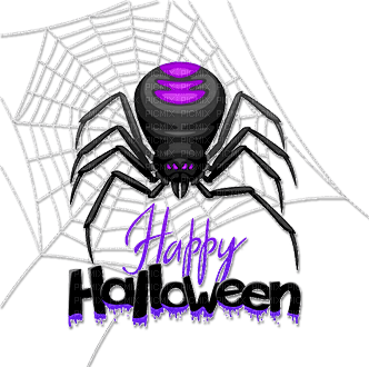 soave spider web text halloween  deco - gratis png