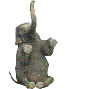 elefante - Darmowy animowany GIF