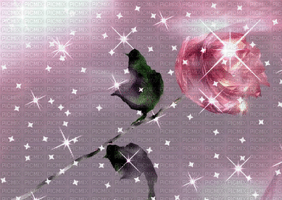 rosa y brillo - 無料のアニメーション GIF