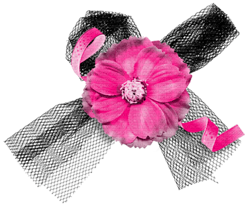 Flower.Bow.Ribbon.Black.Pink - Free PNG