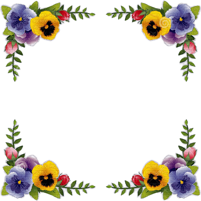 frame,cadre,fleur,Pelageya - png ฟรี
