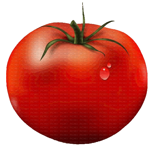 Tomate - Безплатен анимиран GIF