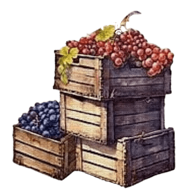 Raisins.Grapes.Uvas.Fruit.Victoriabea - besplatni png