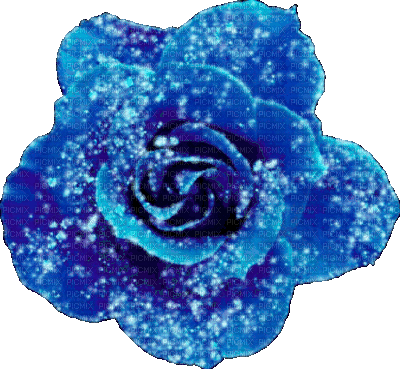 Animated.Rose.Blue - By KittyKatLuv65 - Бесплатный анимированный гифка