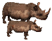 Rhinos - Bezmaksas animēts GIF