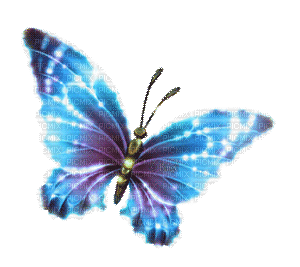 Y.A.M._Fantasy butterfly blue - Free animated GIF