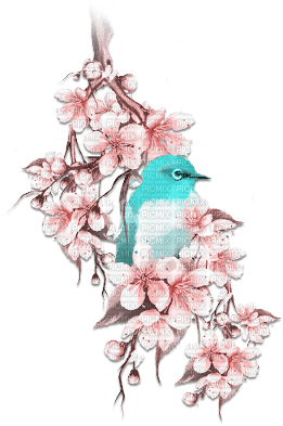 soave deco flowers branch bird spring vintage - δωρεάν png