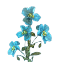 fleurs bleues - nemokama png