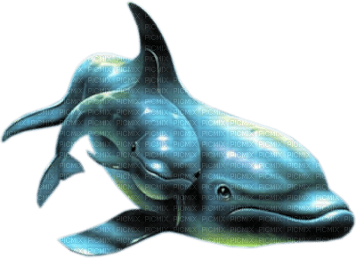 Dauphins.S - png gratuito