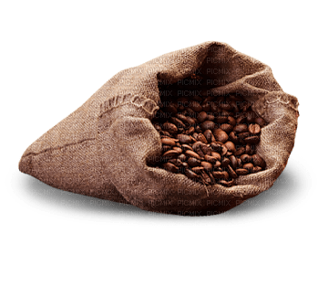 Coffee Brown Beige - Bogusia - Free PNG