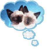 thinking about cat - gratis png
