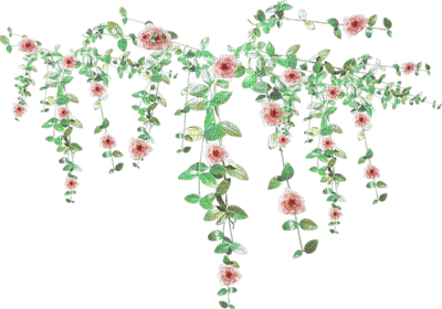 deco-flower - Free PNG