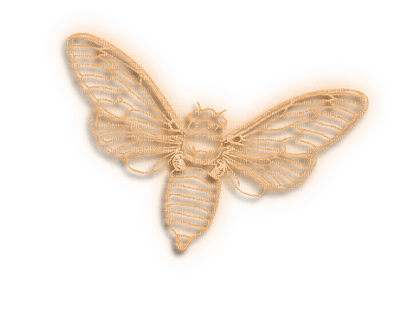 papillon.Cheyenne63 - Free PNG