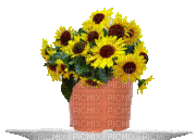 Blumentopf - Gratis geanimeerde GIF