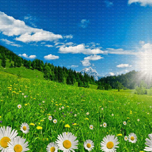 Y.A.M._Spring background - png gratuito