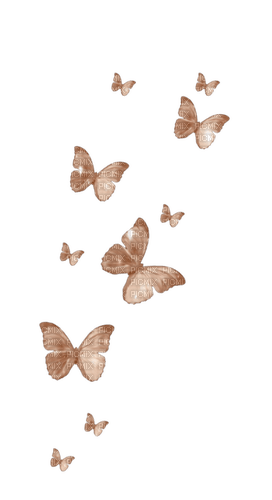 Schmetterlinge - zdarma png