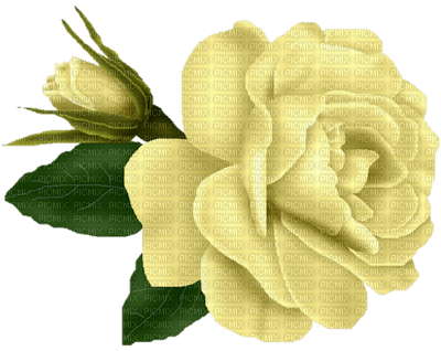 Kaz_Creations Deco Flower Colours Flowers - безплатен png