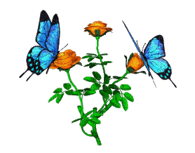 blue butterflies - Animovaný GIF zadarmo