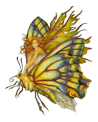papillon fée - Besplatni animirani GIF