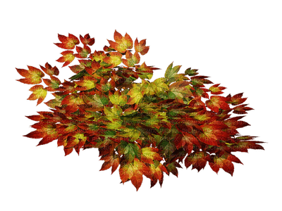 autumn_ leaves_automne_ feuille_BlueDREAM70 - nemokama png