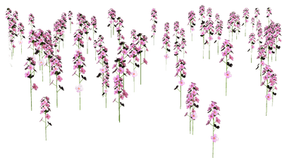 flowers anastasia - 免费PNG