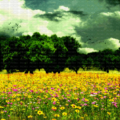 animated yellow flower background - Animovaný GIF zadarmo
