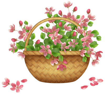 Kaz_Creations Flowers Flower Basket  Deco - png ฟรี