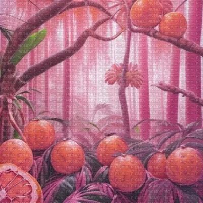 Pink Grapefruit Forest - zdarma png
