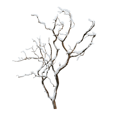 vinter träd---winter tree - png gratis