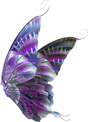 butterfly butterflies bp - безплатен png
