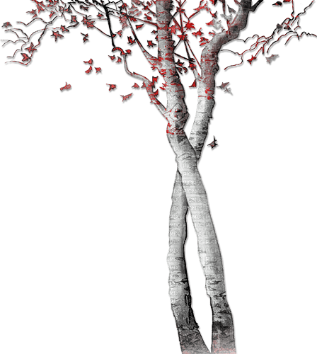soave deco autumn tree black white red - 免费PNG