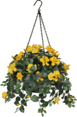 fleurs en pot web charmille - png gratuito