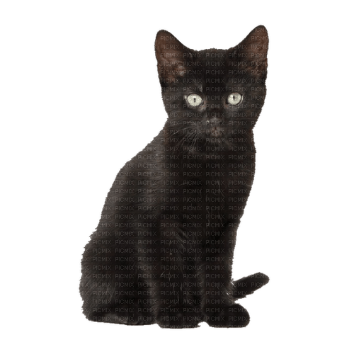 kikkapink deco scrap black cat - png ฟรี