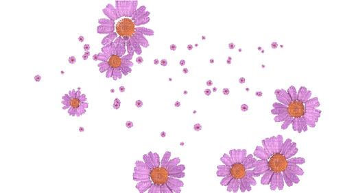 blume flowers background - zdarma png