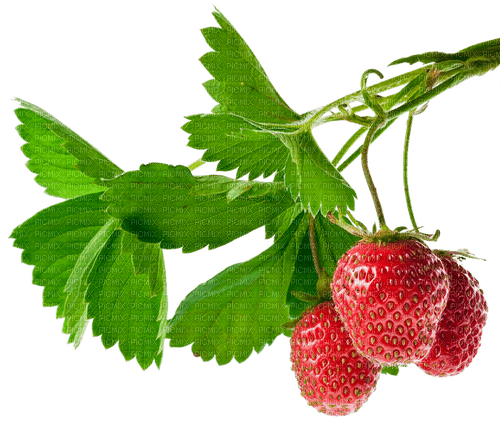 strawberry by nataliplus - ilmainen png