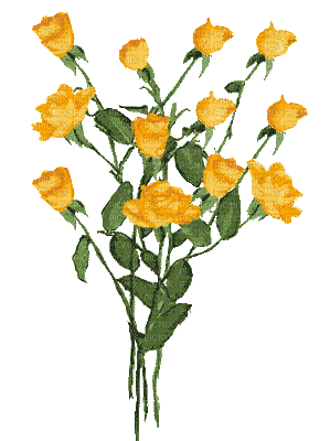 rosas gif-l - Бесплатный анимированный гифка