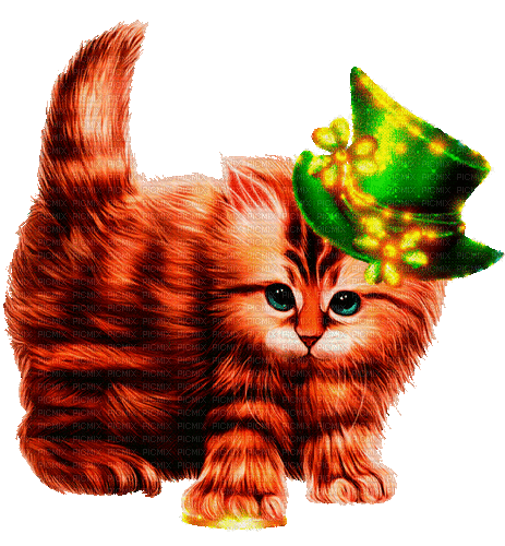 st. Patrick cat  by nataliplus - GIF เคลื่อนไหวฟรี