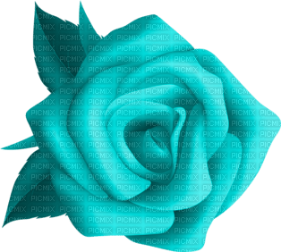 Kaz_Creations Flower Colours - PNG gratuit