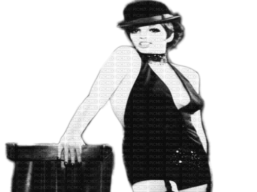 Liza Minnelli milla1959 - безплатен png