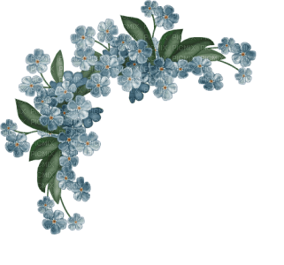Blue Flowers.Fleurs.Branche.Victoriabea - фрее пнг