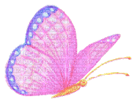 butterfly animated COLORFUL - Darmowy animowany GIF