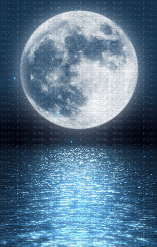 paysage,luna,stars,sea,nuit,Adam64 - Free animated GIF