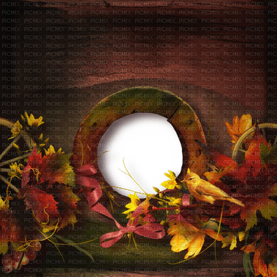 Kaz_Creations Deco  Backgrounds Background Frames Frame Autumn - ingyenes png