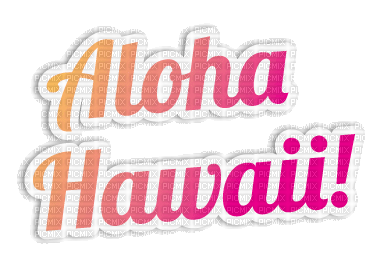 LOLY33 TEXTE ALOHA HAWAII - darmowe png