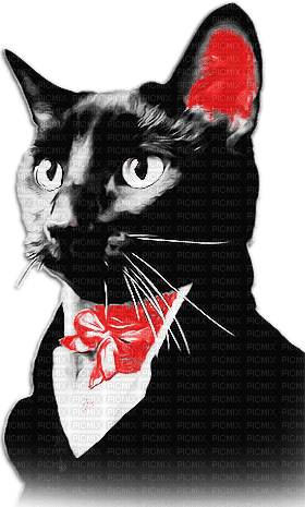 soave cat animals vintage deco black white red - δωρεάν png