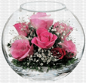 MMarcia gif flores fleur rosas - Δωρεάν κινούμενο GIF