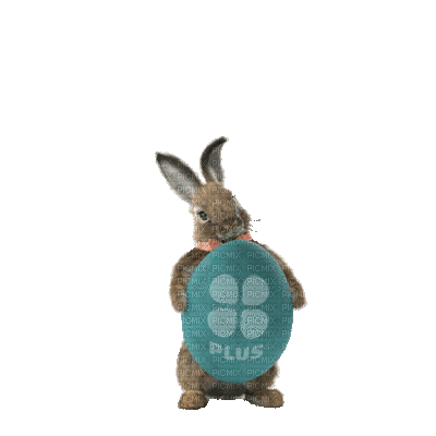 Pâques.Easter.Lapin.Rabbit.Victoriabea - GIF animé gratuit
