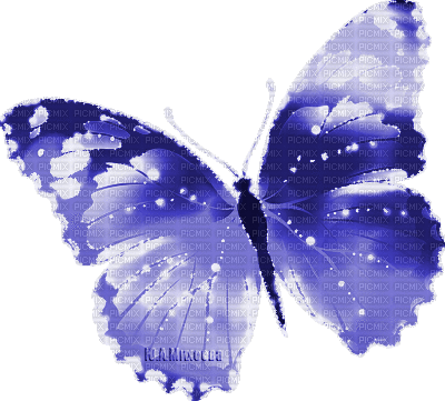 Y.A.M._Fantasy Butterfly blue - Zdarma animovaný GIF