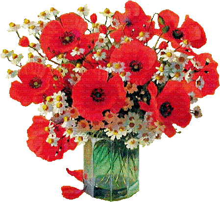 Mohn, Blumen weiss, Glasvase - Bezmaksas animēts GIF